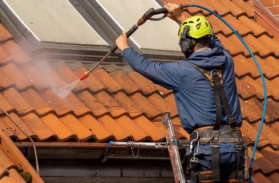 Démoussage et hydrofuge de toiture à Saint-Denis-de-Gastines